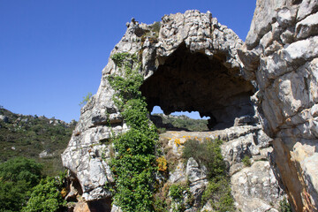 cave in the mediterranean forest