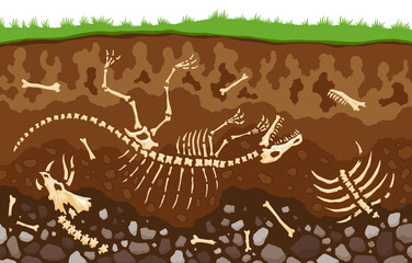 Soil layers with bones. Surface horizons with fossil reptile skeleton, upper layer of earth structure with mixture of organic matter, minerals. Buried lizard bones in dirt and underground clay layer