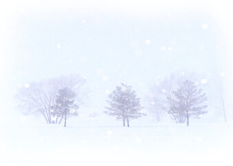 Prairie Winter Scenes