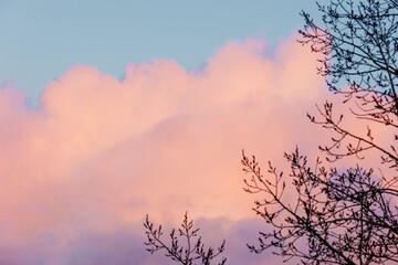 pink clouds in the sky. nature view background. pastel natural colors of the evening sky. landscape