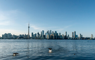 Fototapeta premium Toronto City Images