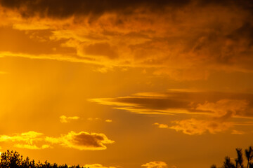 Natural sunset Sunrise over a field or meadow.