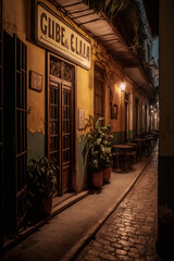 Fototapeta na wymiar photo of a tourist alley at night in the streets of cuba