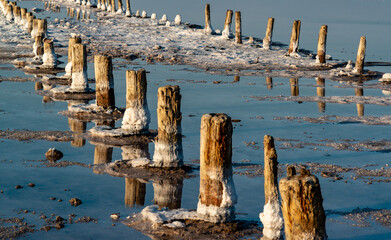 Salt crystals on wooden pillars of an old 18th century salt industry. The ecological problem is...