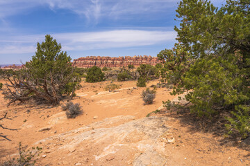 hiking the chesler park loop trail in the needles in canyonlands national park, usa