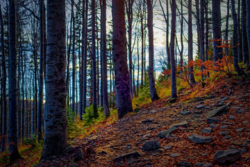 Obraz premium high in the mountains on a cold day