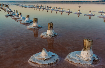 Salt crystals on wooden pillars of an old 18th century salt industry. The ecological problem is drought.