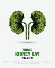 Green kidney vector illustration. world kidney day