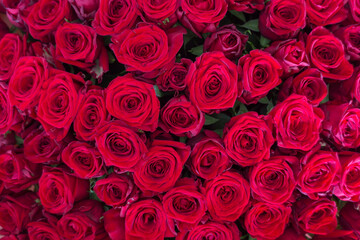 Red Rose Bouquet. bouquet from red roses for use as background. Closeup.
