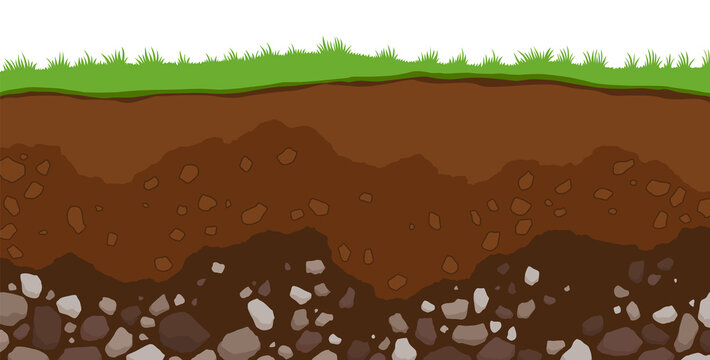Soil layers. Surface horizons upper layer of earth structure with mixture of organic matter, minerals. Dirt and underground clay layer under green grass