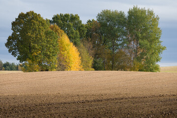 Krajobraz wiejski piękną jesienią, pola wiejskie