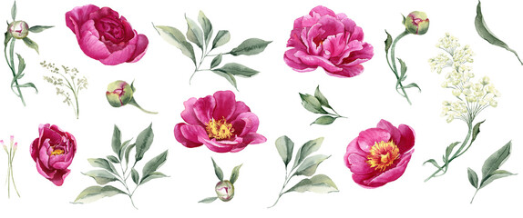 Watercolor hot pink magenta peony flowers bouquet. Floral arrangement for card, invitation, decoration. Illustration isolated on transparent background © Nataliya Kunitsyna