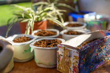 Yogurt Tubs And Milk Carton Reused As Seedling Starter Pots.Earth Day Crafts.