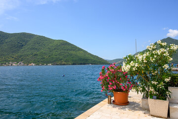 Pots with flowers on waterfront town of Perast. Boka Bay (Koto Bay) of the Adriatic. Montenegro