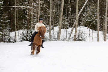Icelandic horse and female rider riding on snowy field. Rider has black helmet.