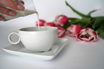 a woman adds milk to coffee against the background of pink tulips