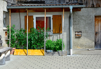 Fototapete bei efototapeten.de bestellen   