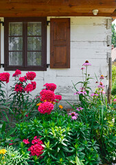 Fototapeta na wymiar ścieżka w wiejskim ogródku za drewnianą furtką, kwiaty i zioła w wiejskim ogródku, kwietnik w wiejskim ogródku, Historic wooden rural cottage with garden in village 