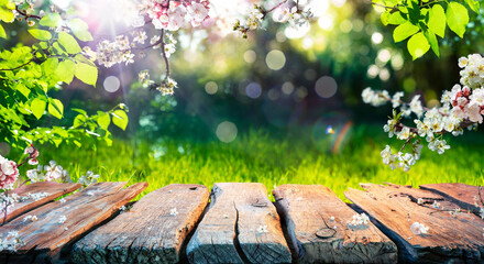 Fototapeta na wymiar Spring Time - Blossoms On Wooden Table In Green Garden With Defocused Bokeh Lights And Flare Effect