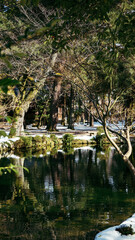 japanese lake in a park