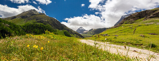 Panorama sul sentiero verso il Rifugio Benevolo, con vista sulla Granta Parey tra fiori, montagne,...