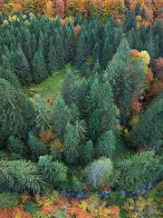 Aerial drone flight above a mixed forest during autumn season. The forest is bursting with colorful leaves. A small creek flows underneath the trees. Carpathia, Romania.