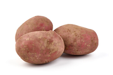 Fototapeta premium Unwashed potatoes, isolated on white background.