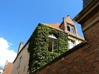 Nature is the greatest architect.