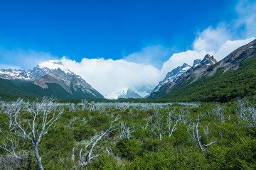 Panoramic view of Cerro Torre (Torre Mountain) from a viewpoint - El Chalt&eacute;n, Argentina