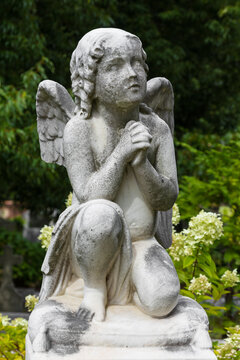 Vertical shot of praying cherub angel in a cemetery