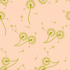 Dandelion background your design. Abstract floral seamless pattern.