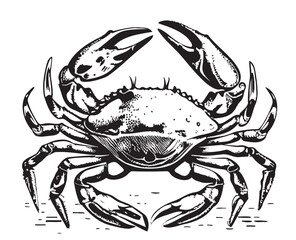 Crab sea hand drawn sketch Vector illustration animals