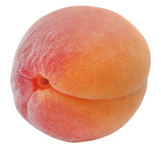 Fototapeta premium Fresh apricot