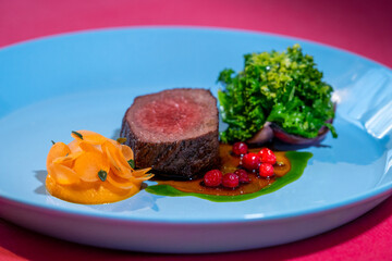 Restaurant food. Deer chop, pumpkin, kale, lingonberries, Deer with Vegetables on Cranberry Sauce. Trend colours.
