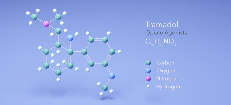 tramadol molecule, molecular structures, opiate agonists, 3d model, Structural Chemical Formula and Atoms with Color Coding