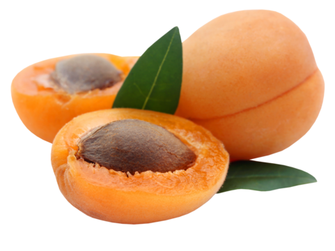 Fresh apricots