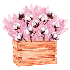Wooden box with sprigs of cotton and pink pampas grass. Hand-drawn watercolor illustration isolated on white background. For the design of postcards