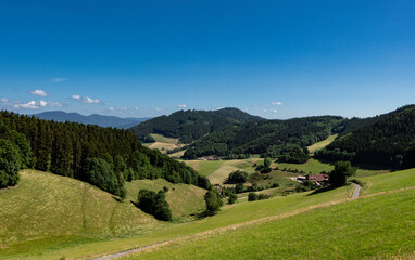 Dolina w Schwarzwaldzie