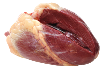 Beef heart