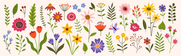 Flower collection, floral design elements vector set. - 573347757