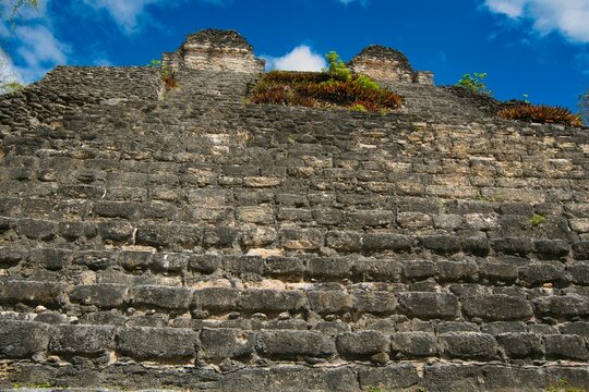 Dzibanch&eacute; means &ldquo;writing on wood&rdquo; This name comes from large wooden lintel contained in the Temple of the Lintels that has eight glyphs carved into the quebracho wood. Quintana Roo , Mexico 11 02 2022