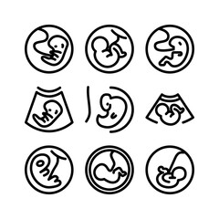 embryo icon or logo isolated sign symbol vector illustration - high quality black style vector icons
