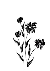 black and white flowers