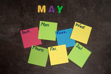 Plan tygodnia na kolorowych kartkach na ścianie. Puste kartki. © siwyk