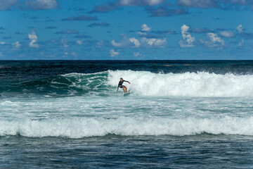 Surfers at Bathsheba beach Barbados, Atlantic Ocean sea, big white breakers and palm trees