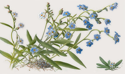  a picture of a bunch of blue flowers on a white background.  generative ai