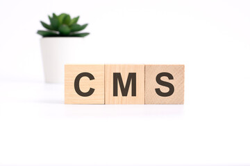 CMS - Content Management System - acronym on wooden cubes on white background. business concept © Maks_Lab