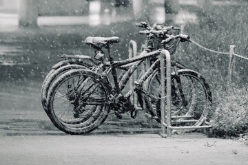 Fototapeta na wymiar Bicicletas en la nieve