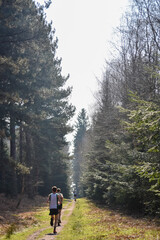 Fototapeta na wymiar Running in the woods