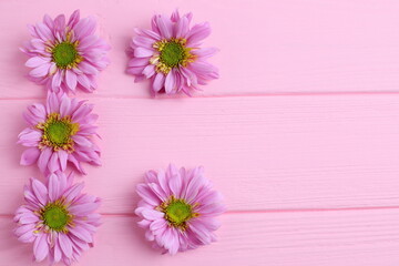 Pink daisy flowers on wooden background